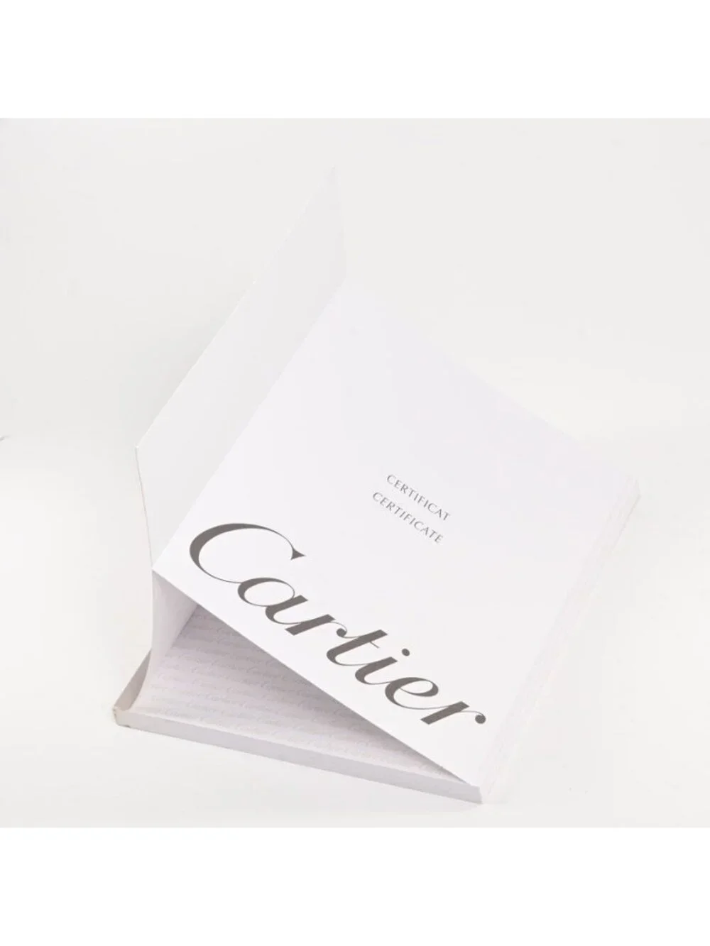 Cartier Watch Pasha Silver